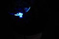 Iluminat solar de gradina LED-Fluture