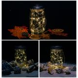 VOLTRONIC Set de sticlă solară 20 LED, 2 buc