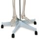Model schelet anatomic, 181,5 cm