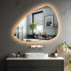 IREDA Oglindă de baie cu iluminare LED, 100 x 70 cm