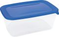 Cutie de alimente FRESH & GO, 3 l