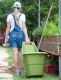 Cărucior din plastic EASY GO BREEZE 50l - verde